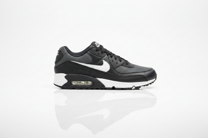 Nike Air Max 90 Men's Shoes