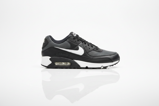 Nike Air Max 90 Men's Shoes