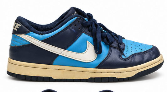 Nike Dunk Low Pro