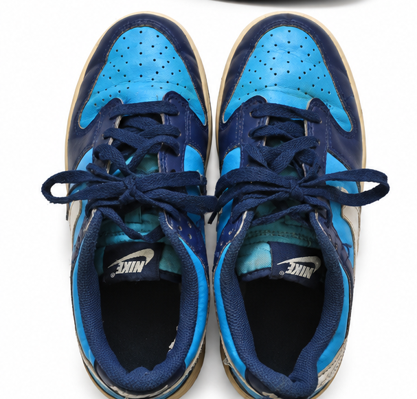 Nike Dunk Low Pro