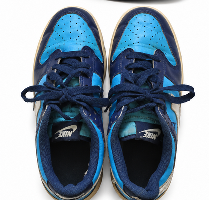 Nike Dunk Low Pro