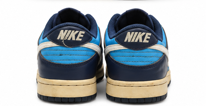 Nike Dunk Low Pro