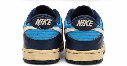 Nike Dunk Low Pro