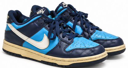 Nike Dunk Low Pro