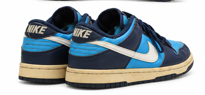 Nike Dunk Low Pro
