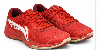 Li-Ning Lei Ting Lite Badminton Shoes