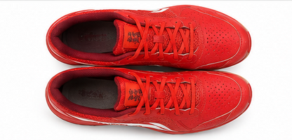 Li-Ning Lei Ting Lite Badminton Shoes
